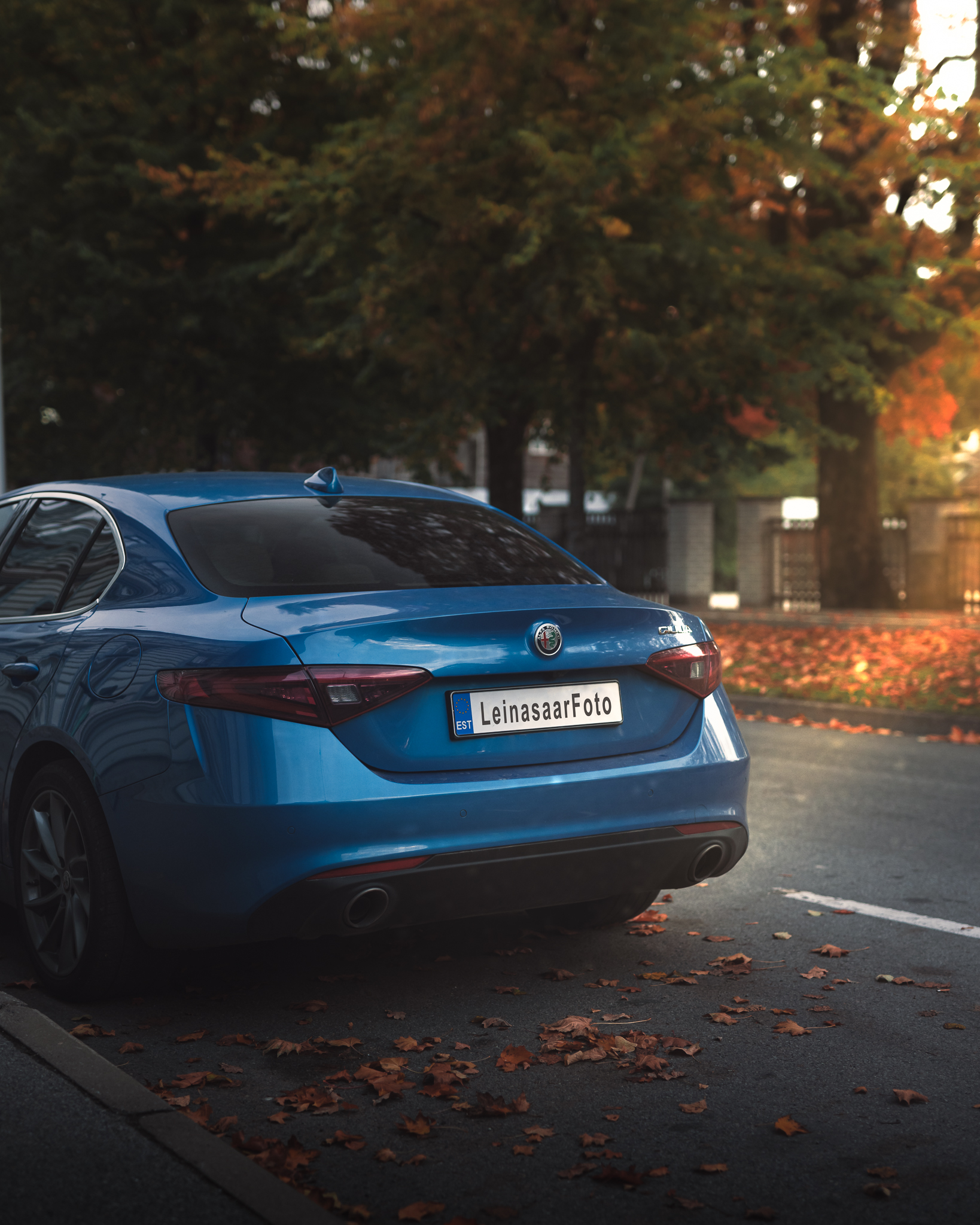 raunoleinasaar, leinasaarfoto, autofotograaf, autofotograafia, fotograaf, autopildid, pildistamine, pärnufotograaf