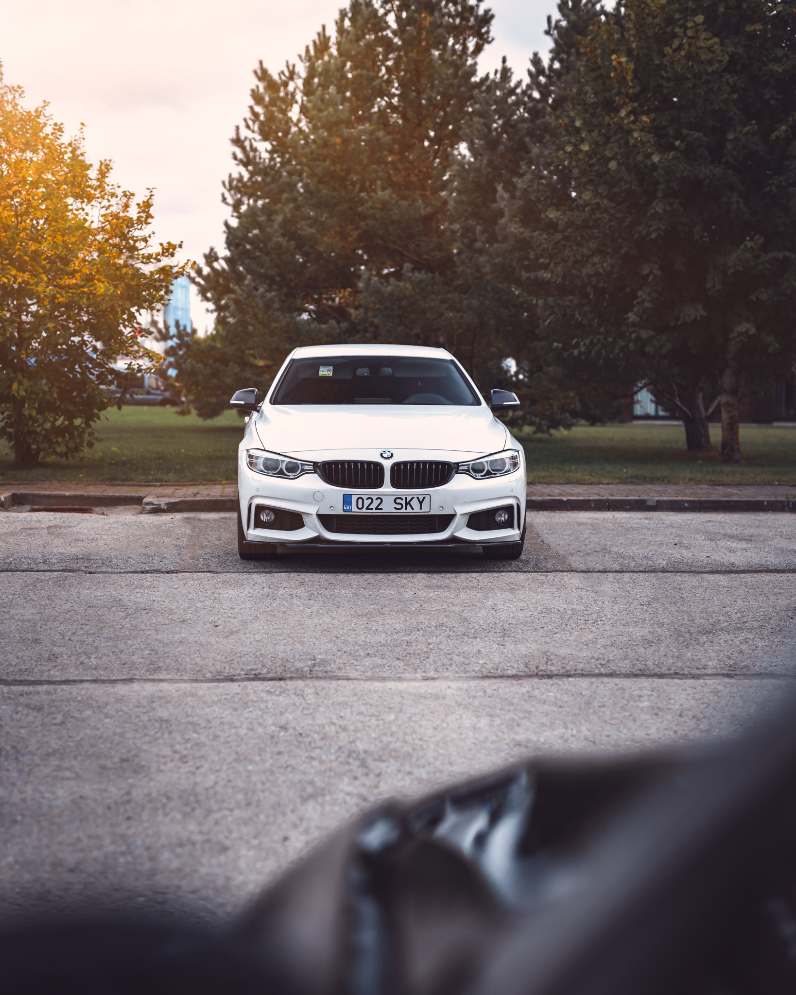 raunoleinasaar, leinasaarfoto, autofotograaf, autofotograafia, fotograaf, autopildid, pildistamine, pärnufotograaf