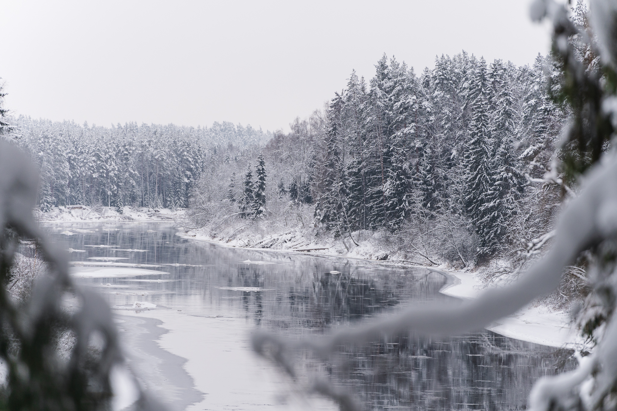 raunoleinasaar, leinasaarfoto, loodus, loodusepildistamine fotograaf, pildistamine, pärnufotograaf
