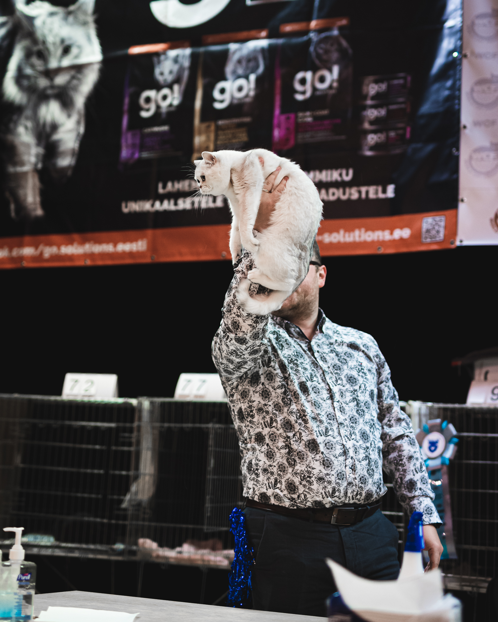 raunoleinasaar, leinasaarfoto, loomad, loomadepildistamine, fotograaf, pildistamine, pärnufotograaf